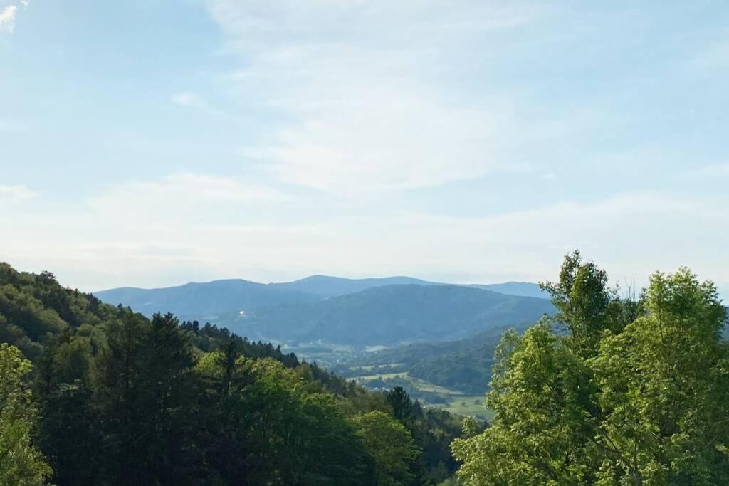 Mitten Im Bayerischen Wald + Schonblick + Urig + Netflix Schöfweg Exteriér fotografie